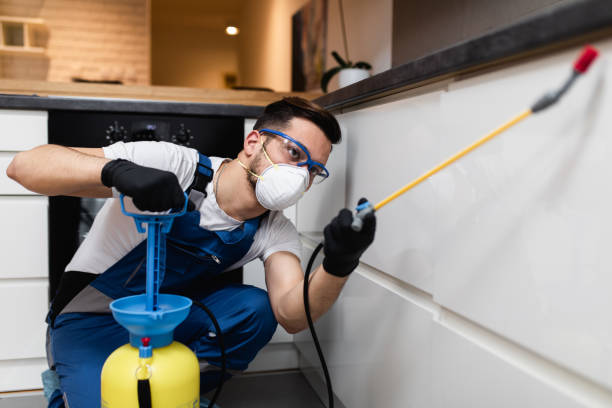Reliable White Hall, AR Pest Control Solutions