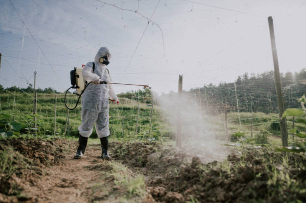 Best Local Pest Control Services  in White Hall, AR