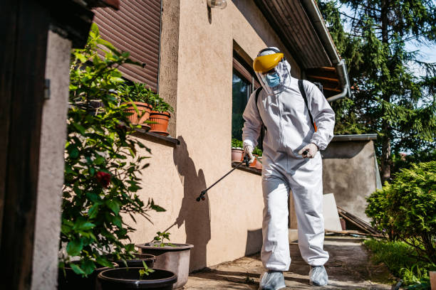 Best Pest Removal Services  in White Hall, AR