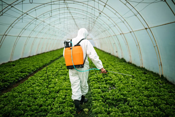 Best Pest Control Near Me in White Hall, AR