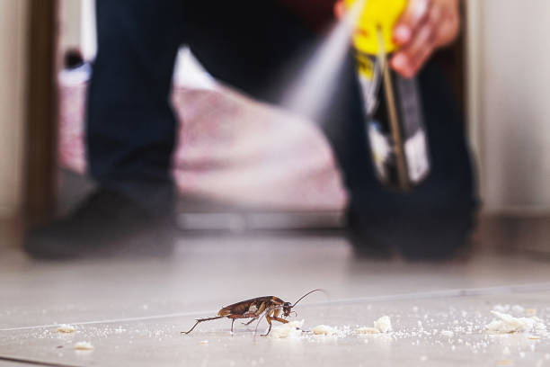 Best Exterminator Services  in White Hall, AR