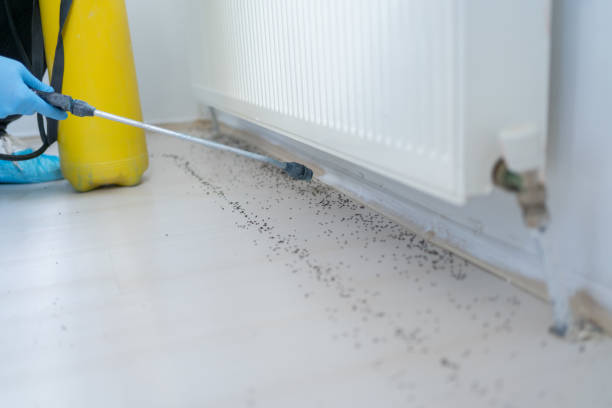Pest Control Cost in White Hall, AR