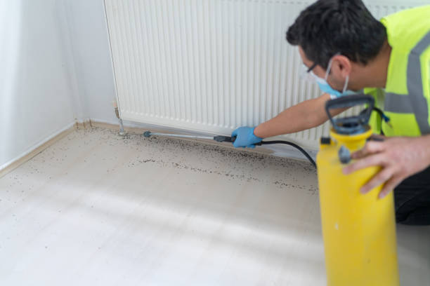 Best Mosquito Control Services  in White Hall, AR